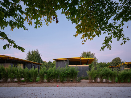 Bee House