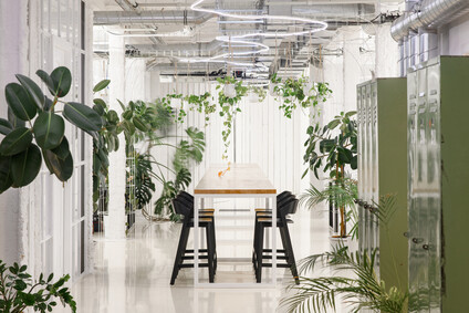 Czech Promotion Offices Vol. 2